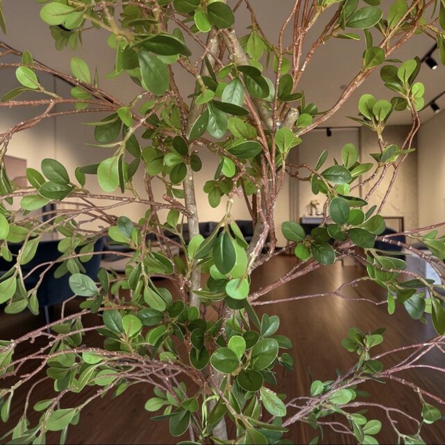光触媒 人工観葉植物 ウォールグリーン フェイクグリーン ドウダン