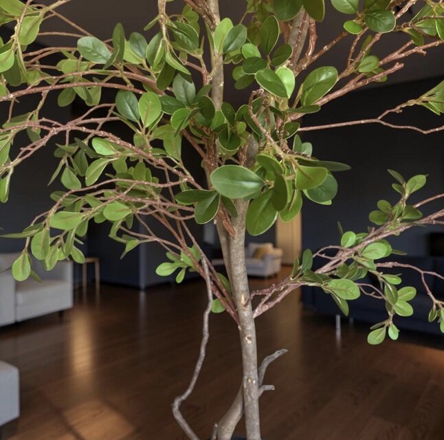 光触媒 人工観葉植物 ウォールグリーン フェイクグリーン ドウダン