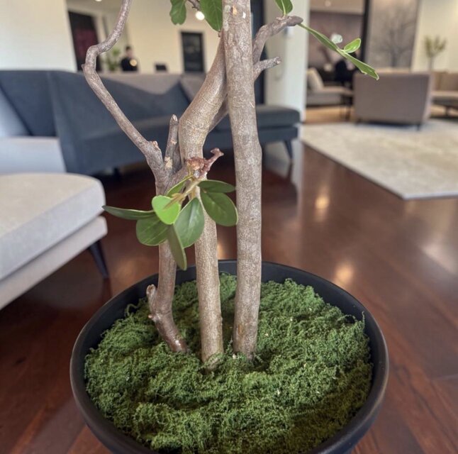 光触媒 人工観葉植物 ウォールグリーン フェイクグリーン ドウダン