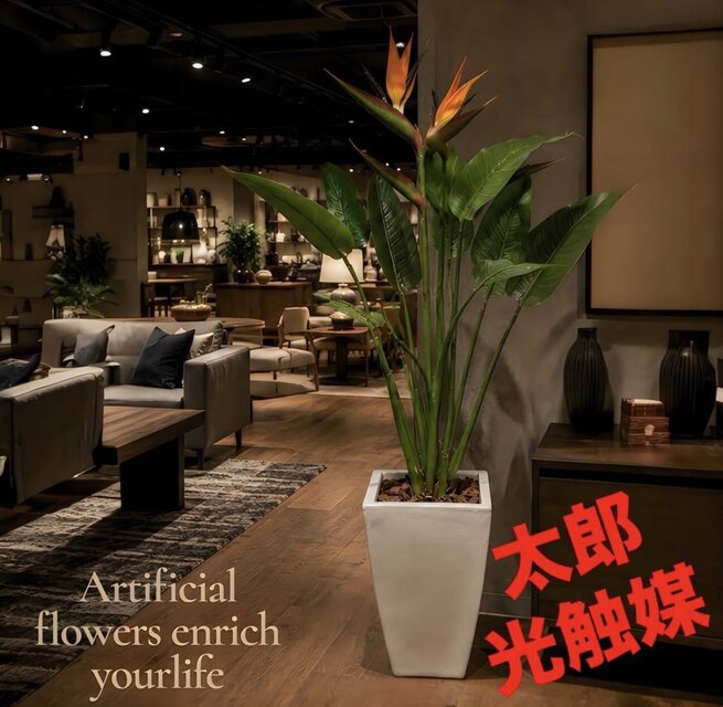光触媒 観葉植物 ウォールグリーン フェイクグリーン ストレッチア