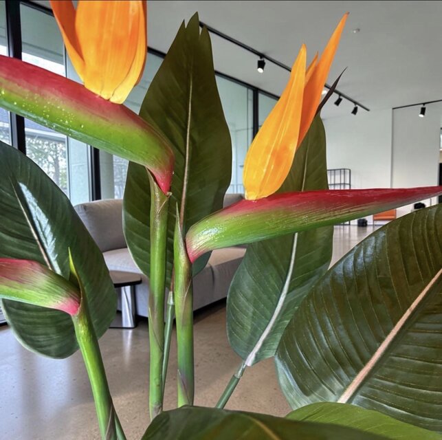 光触媒 観葉植物 ウォールグリーン フェイクグリーン ストレッチア