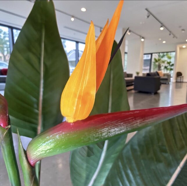 光触媒 観葉植物 ウォールグリーン フェイクグリーン ストレッチア