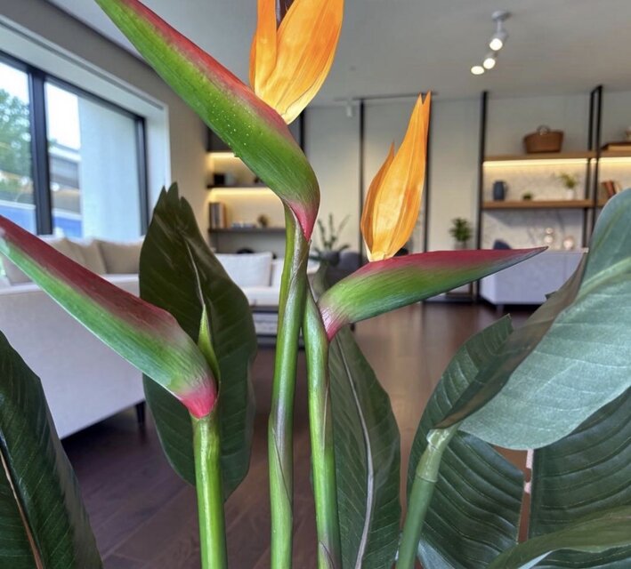 光触媒 観葉植物 ウォールグリーン フェイクグリーン ストレッチア