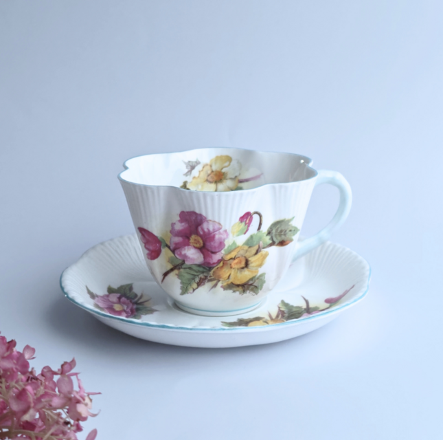 Shelley ｜ Begonia ｜ Dainty ｜ シェリー ベゴニア ディンティ 英国