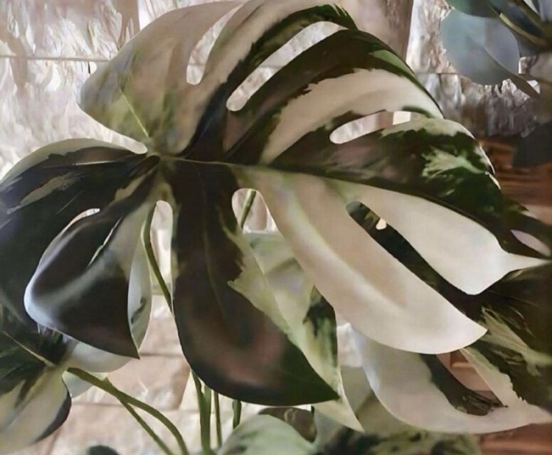 光触媒 人工観葉植物 ウォールグリーン フェイクグリーン モンステラ