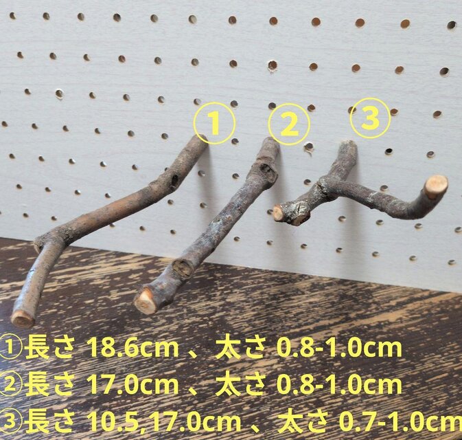 止まり木セット（枝：TOY-08-015）T650 | iichi 日々の暮らしを