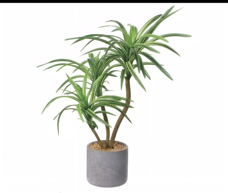 光触媒 人工観葉植物 ウォールグリーン フェイクグリーン ユッカ
