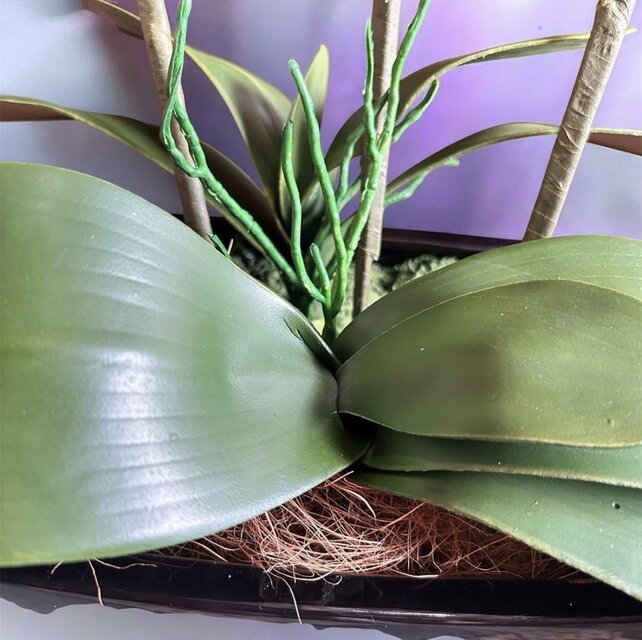 光触媒 人工観葉植物 ウォールグリーン フェイクグリーン 胡蝶蘭陶器鉢