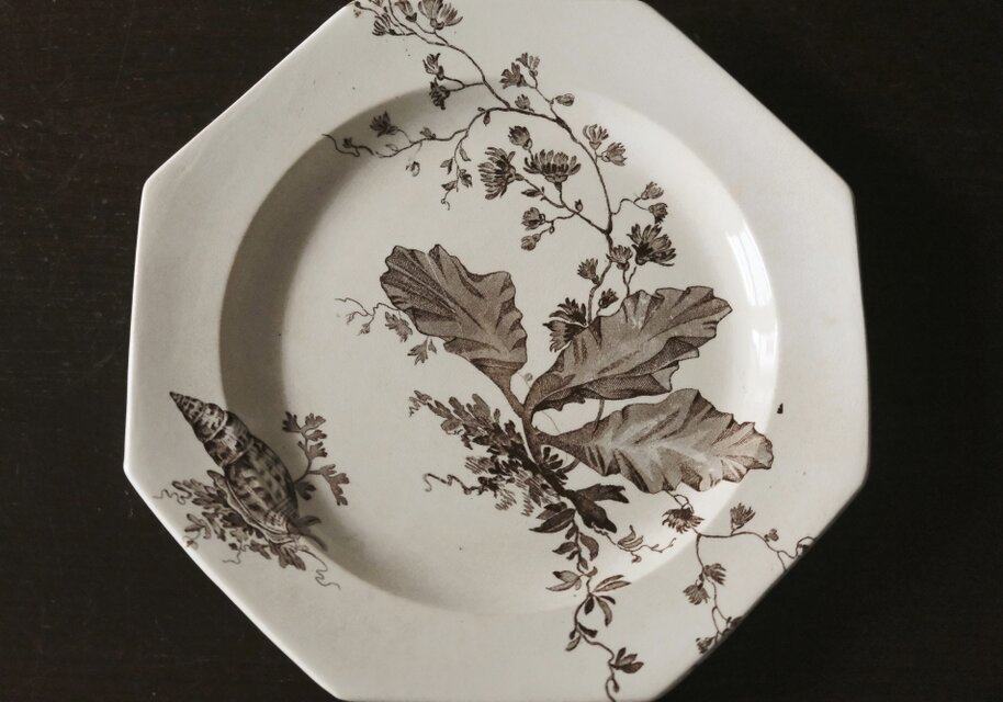 Wedgwood NEPTUNE ウェッジウッド オクトゴナル デザート 平皿