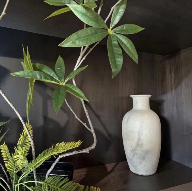 光触媒 観葉植物 ウォールグリーン フェイクグリーン クネクネパキラ