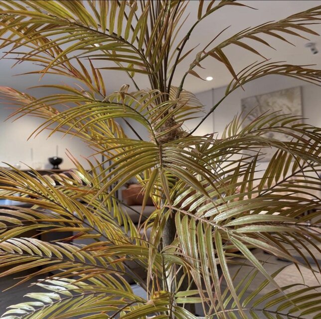 光触媒 人工観葉植物 ウォールグリーン フェイクグリーン アレカヤシ