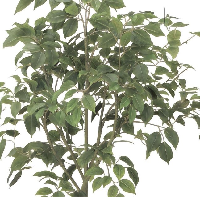 光触媒 人工観葉植物 ウォールグリーン フェイクグリーン フィカス
