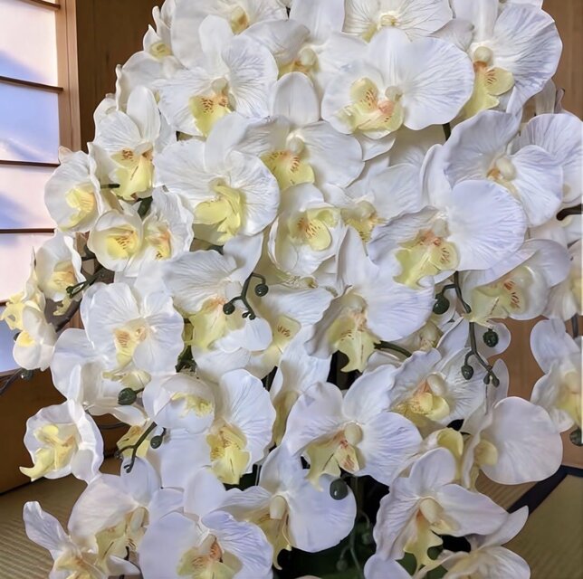 光触媒 人工観葉植物 ウォールグリーン 造花 胡蝶蘭大輪h8148