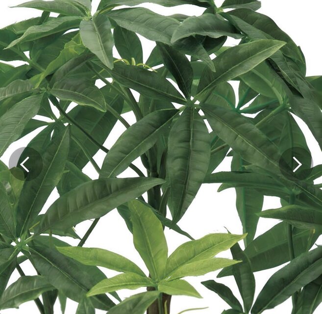 光触媒 人工観葉植物 ウォールグリーン フェイクグリーン パキラポット