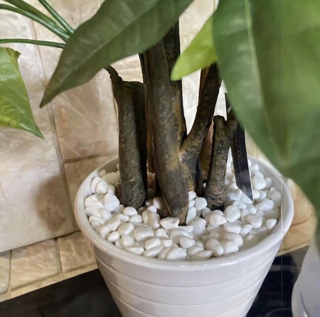 光触媒 人工観葉植物 ウォールグリーン フェイクグリーン パキラポット