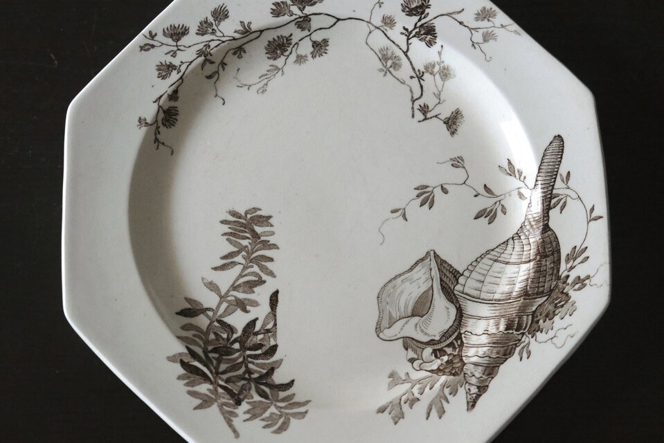 Wedgwood NEPTUNE ウェッジウッド オクトゴナル デザート 平皿