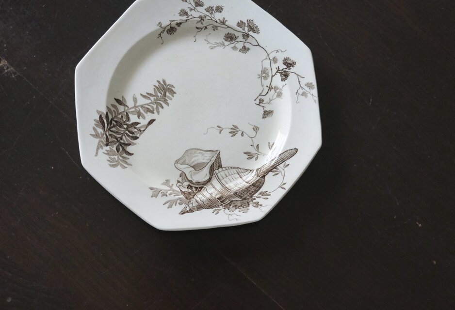 Wedgwood NEPTUNE ウェッジウッド オクトゴナル デザート 平皿