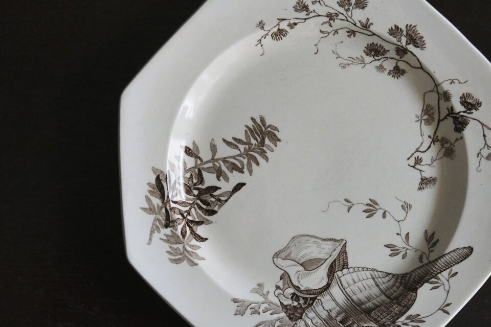 Wedgwood NEPTUNE ウェッジウッド オクトゴナル デザート 平皿