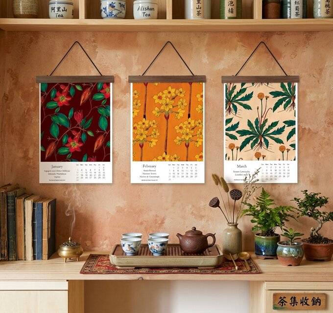 ちょっと大人のカレンダー『植物図鑑2027』A4サイズ(※A3サイズ変更可