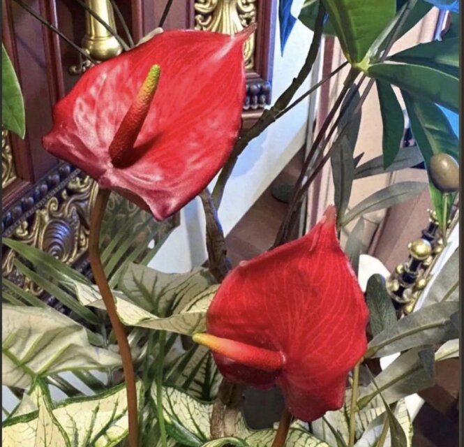 光触媒 人工観葉植物 ウォールグリーン フェイクグリーン