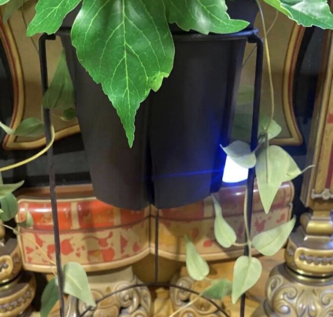 光触媒 人工観葉植物 ウォールグリーン フェイクグリーン