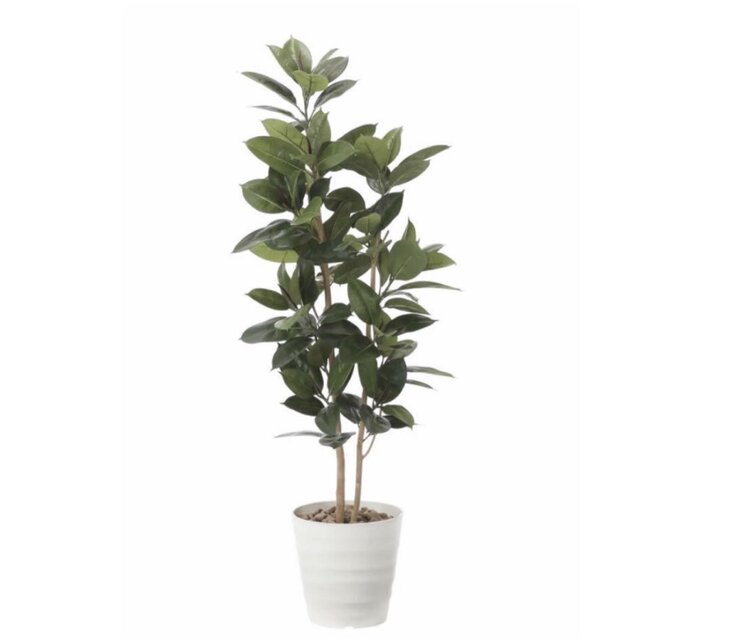 光触媒 人工観葉植物 ウォールグリーン フェイクグリーン ゴムの木1.6