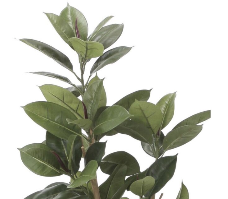 光触媒 人工観葉植物 ウォールグリーン フェイクグリーン ゴムの木1.6