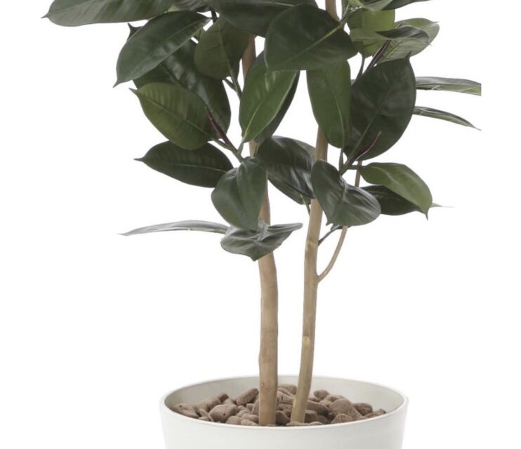 光触媒 人工観葉植物 ウォールグリーン フェイクグリーン ゴムの木1.6