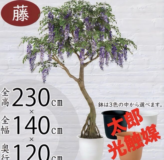 光触媒 人工観葉植物 ウォールグリーン フェイクグリーン 藤コアッド鉢
