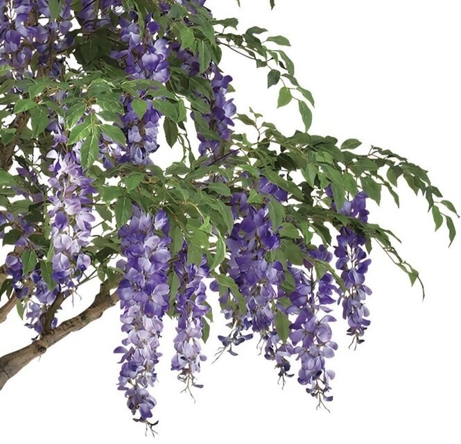 光触媒 人工観葉植物 ウォールグリーン フェイクグリーン 藤コアッド鉢