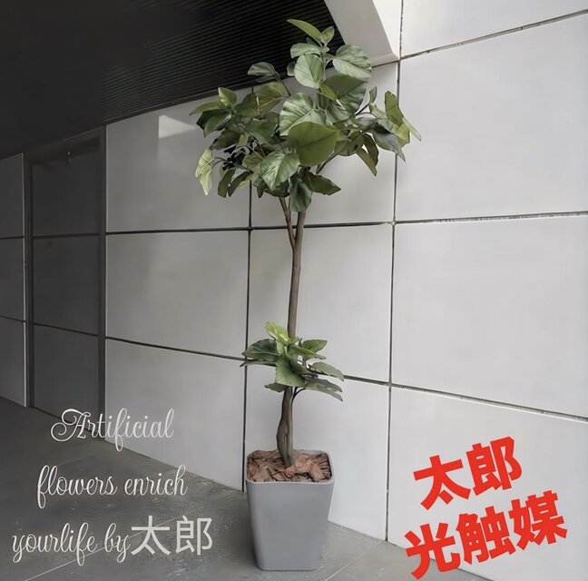 光触媒　人工観葉植物　ウォールグリーン　フェイクグリーン　ウンベラータ166a 光触媒 人工観葉植物 ウォールグリーン フェイク フラワー 組立て式