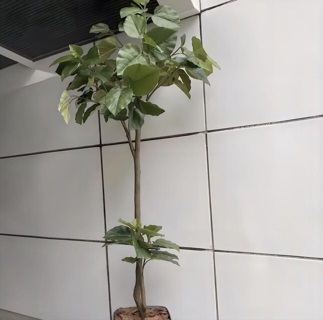 光触媒 人工観葉植物 ウォールグリーン フェイク フラワー 組立て式