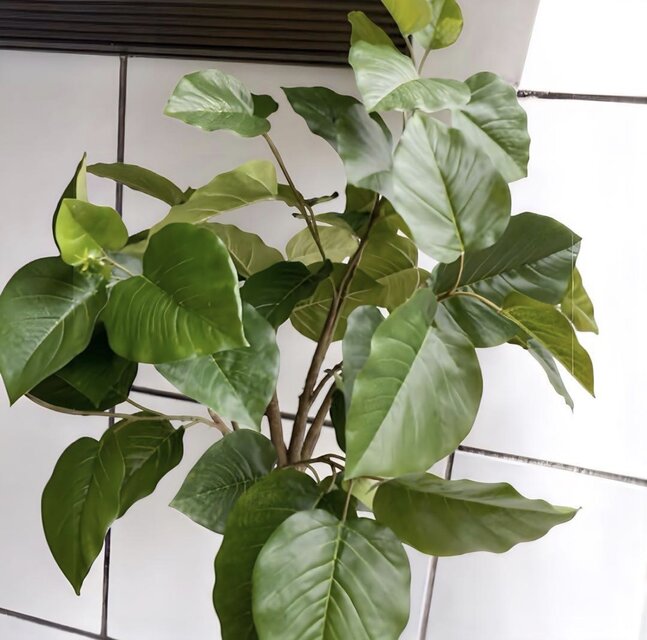 光触媒 人工観葉植物 ウォールグリーン フェイク フラワー 組立て式