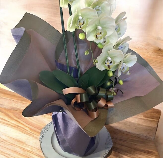 光触媒 人工観葉植物 ウォールグリーン フェイクグリーン リアル胡蝶蘭