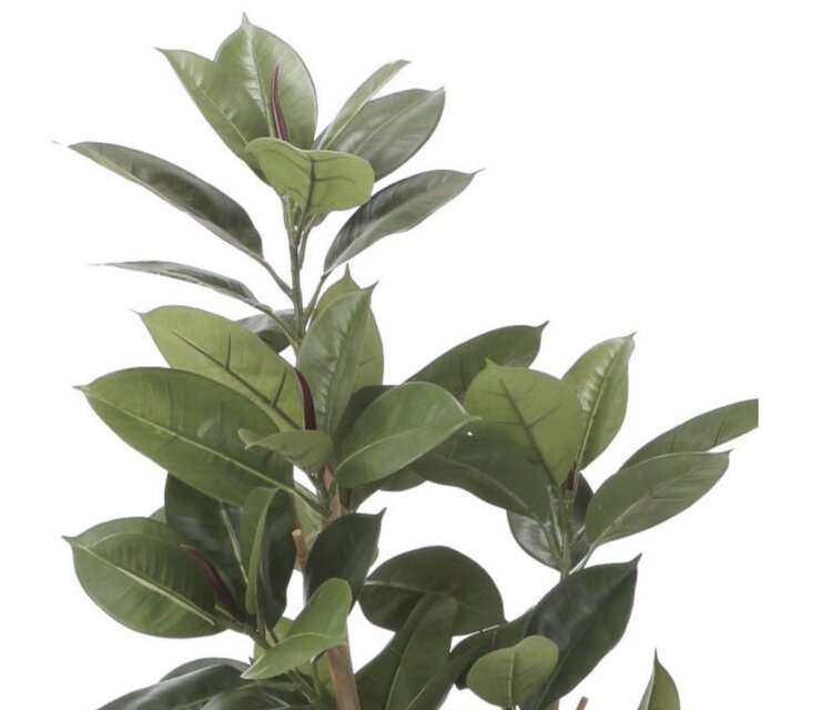 光触媒 人工観葉植物 ウォールグリーン フェイクグリーン ゴムの木1.6