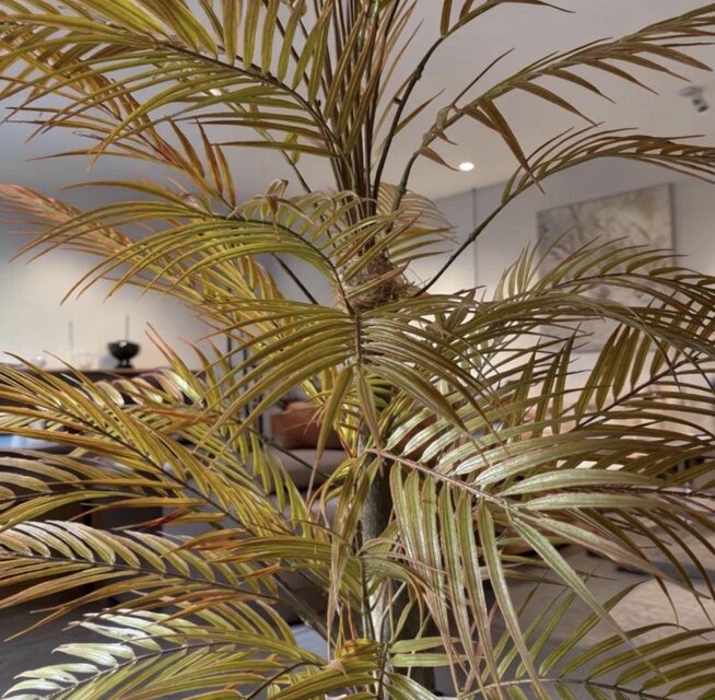 光触媒 人工観葉植物 ウォールグリーン フェイクグリーン アレカヤシ黒