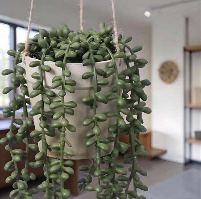 光触媒 観葉植物 ウォールグリーンフェイクグリーン グリーン 光触媒 観葉植物 ウォールグリーンフェイクグリーン グリーン