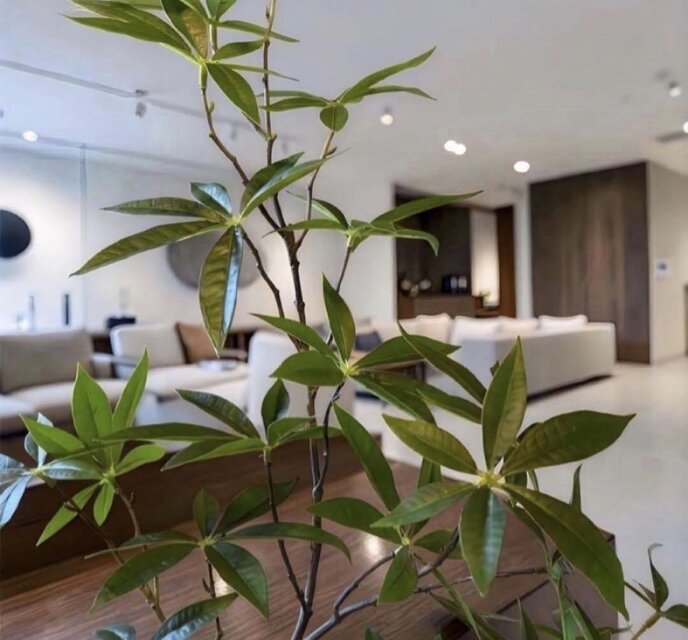光触媒 人工観葉植物 ウォールグリーン フェイクグリーン ツイスト