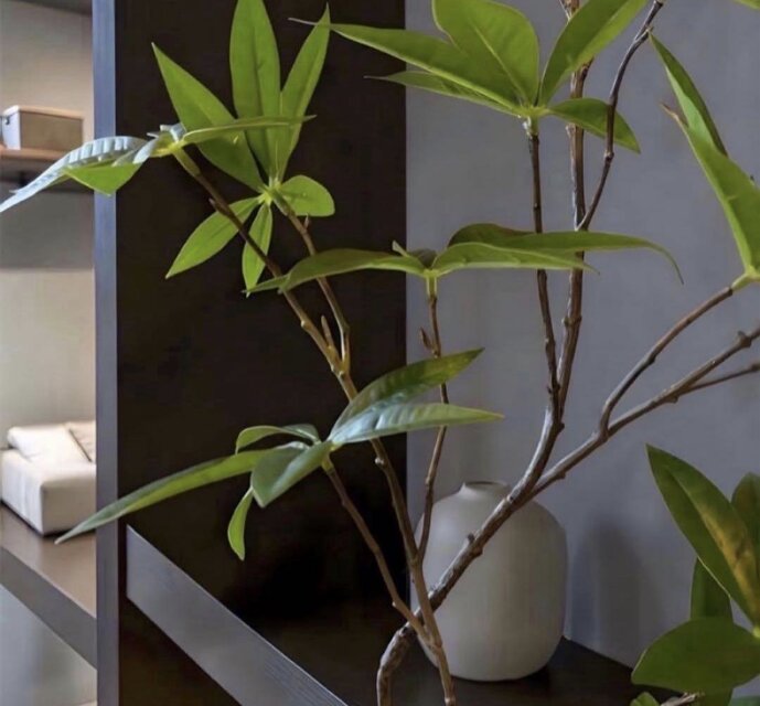 光触媒 人工観葉植物 ウォールグリーン フェイクグリーン ツイスト