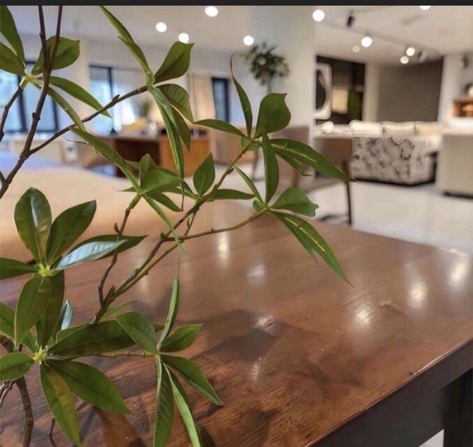 光触媒 人工観葉植物 ウォールグリーン フェイクグリーン ツイスト