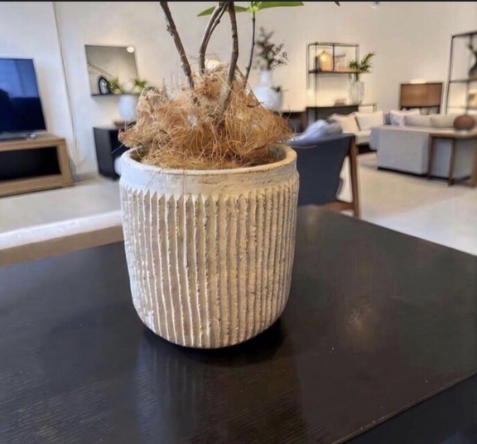 光触媒 人工観葉植物 ウォールグリーン フェイクグリーン ツイスト