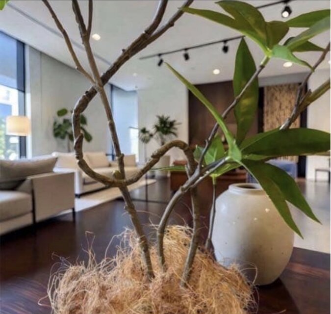 光触媒 人工観葉植物 ウォールグリーン フェイクグリーン ツイスト