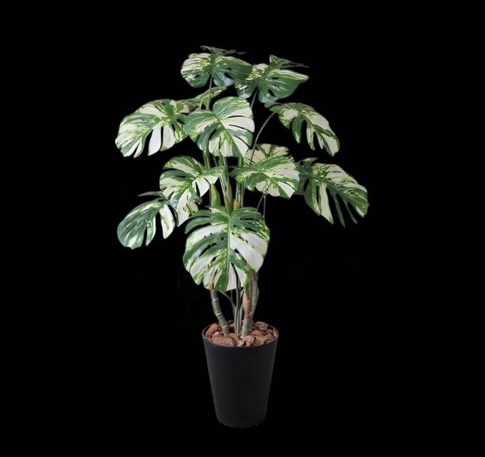 光触媒　人工観葉植物　ウォールグリーン　フェイクグリーン　斑入りゴムの木1808 光触媒 人工観葉植物 ウォールグリーン フェイクグリーン モンステラ