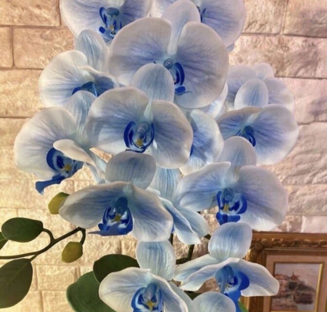 光触媒 人工観葉植物 ウォールグリーン フェイクグリーン リアル胡蝶蘭