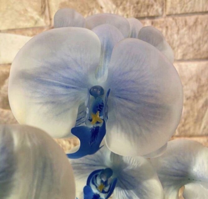 光触媒 人工観葉植物 ウォールグリーン フェイクグリーン リアル胡蝶蘭