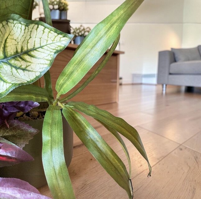 光触媒 人工観葉植物 ウォールグリーン フェイクグリーン カラジューム