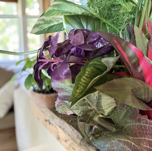 光触媒 人工観葉植物 ウォールグリーン フェイクグリーン カラジューム