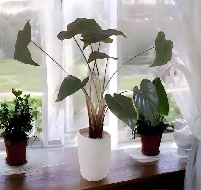 光触媒 人工観葉植物 ウォールグリーン フェイクグリーン アロカシア55