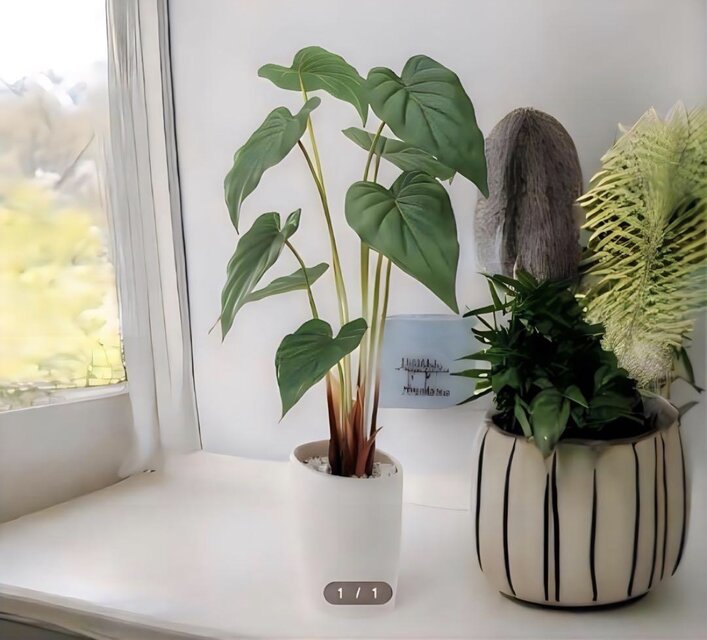 光触媒 人工観葉植物 ウォールグリーン フェイクグリーン アロカシア55
