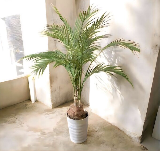 光触媒 人工観葉植物 ウォール グリーン フェイクグリーン アレカヤシ